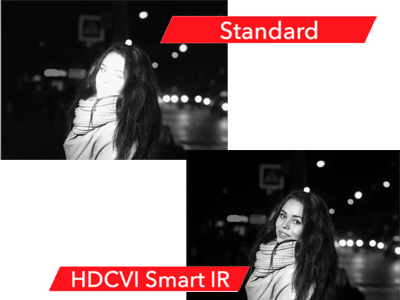 Servicio mensual de Videovigilancia IP (Incluye: 4 cámaras IP tipo domo de 4 Megapixeles, 1 Videograbador de 4 canales, 1 disco duro de 2TB, incluye instalación y configuración)